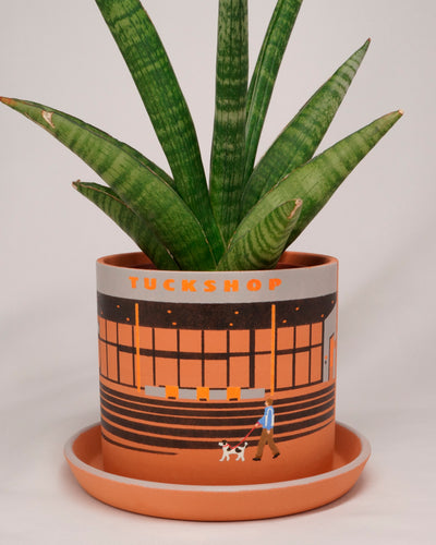 PLANT POT by HIKE LIKE