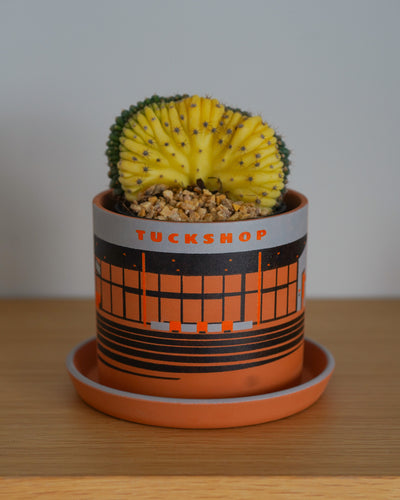 PLANT POT by HIKE LIKE