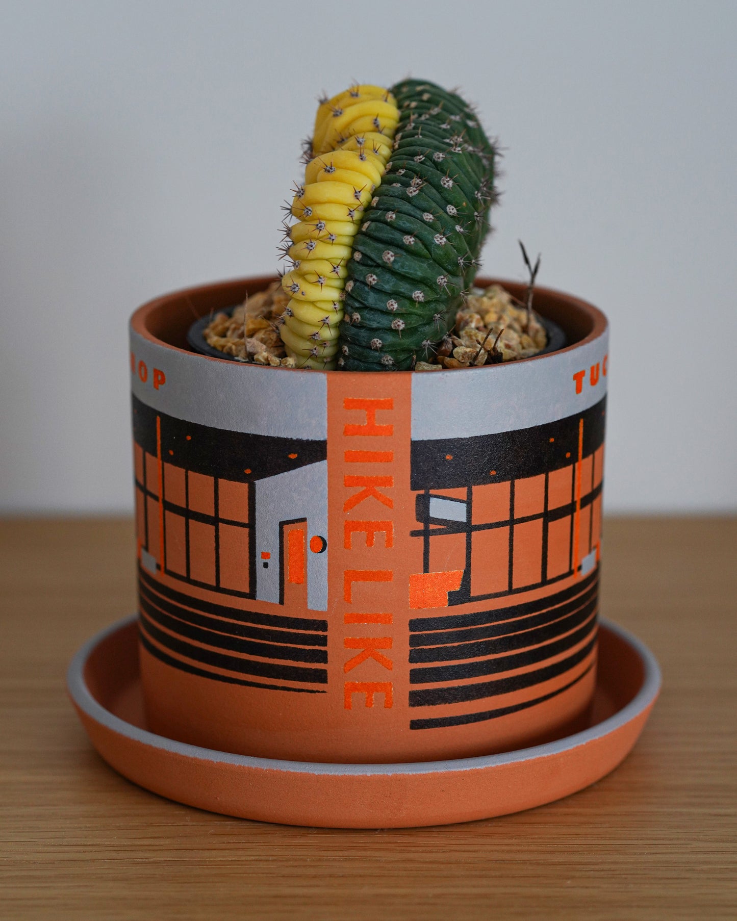 PLANT POT by HIKE LIKE