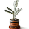 PLANT POT by HIKE LIKE