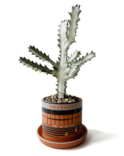 PLANT POT by HIKE LIKE