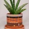 PLANT POT by HIKE LIKE - TUCKSHOP