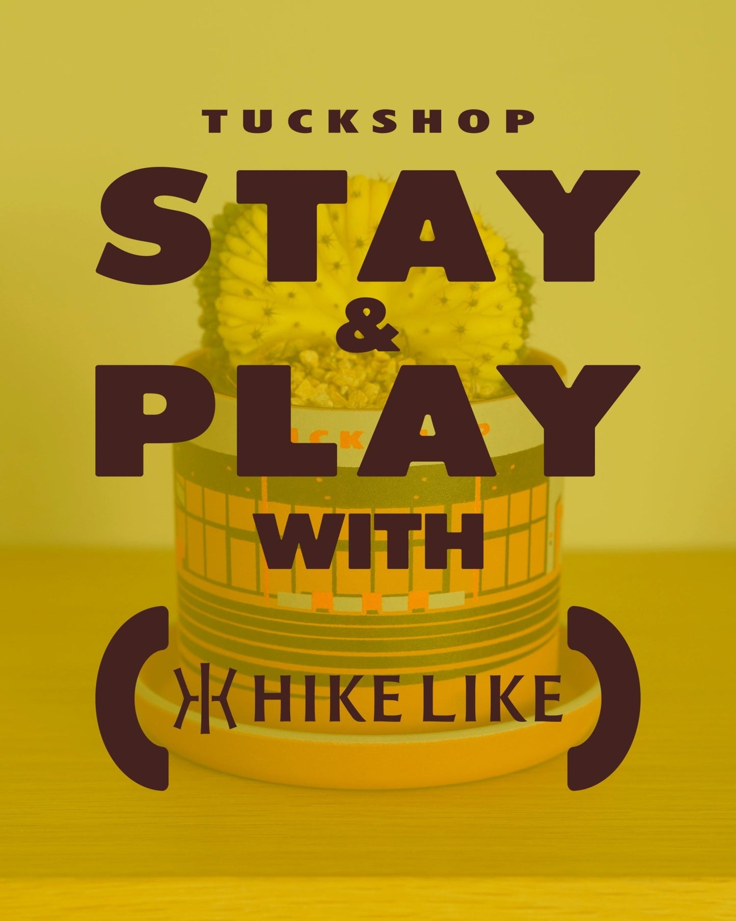 PLANT POT by HIKE LIKE - TUCKSHOP