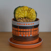 PLANT POT by HIKE LIKE - TUCKSHOP