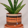 PLANT POT by HIKE LIKE - TUCKSHOP