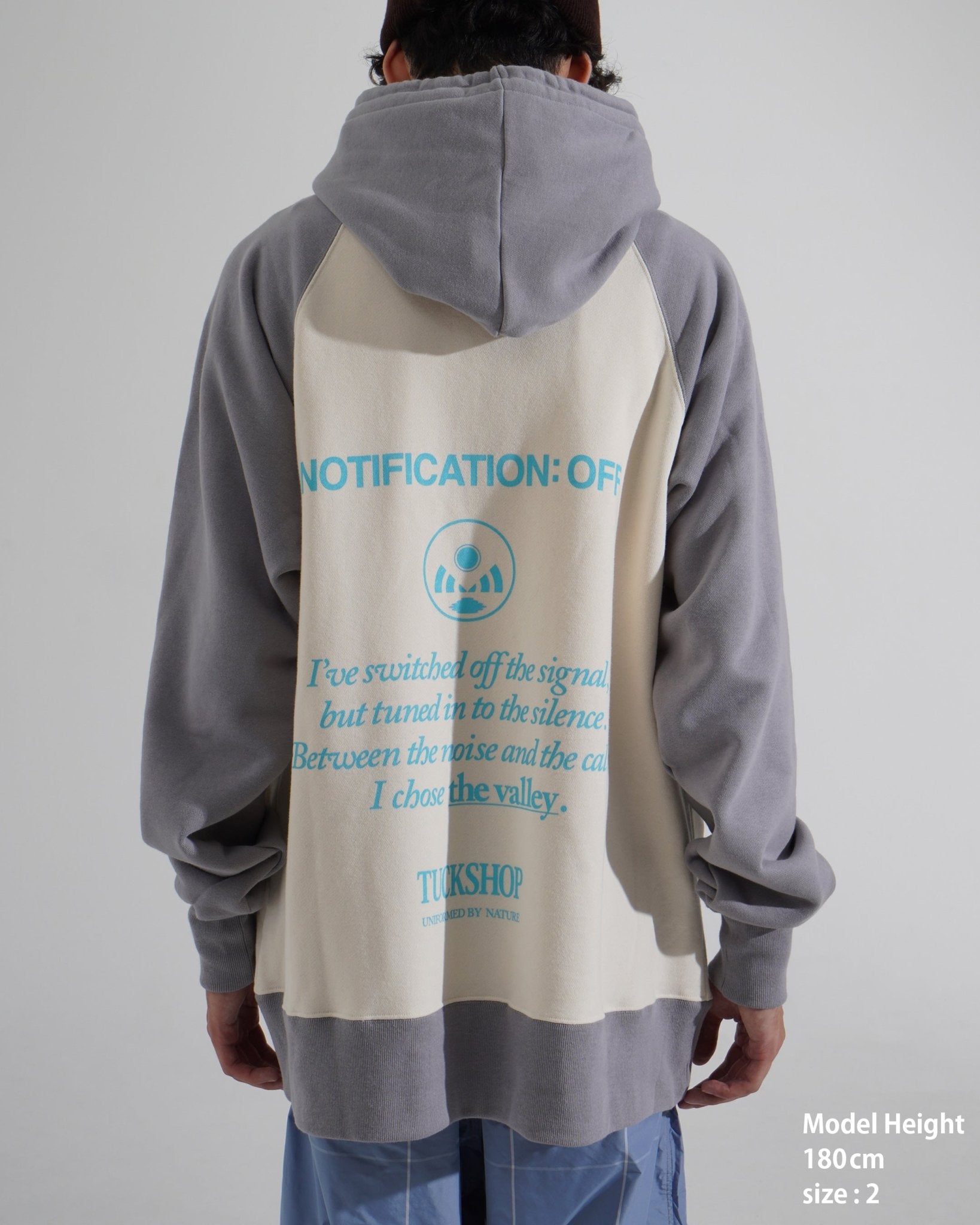 PRINTED RAGLAN HOODIE - TUCKSHOP